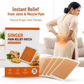 Ginger Instant Pain Relief Patches