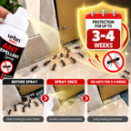 Ant Repellent Spray – Keep Ants Away Naturally! |PACK OF 2|