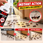 Ant Repellent Spray – Keep Ants Away Naturally! |PACK OF 2|